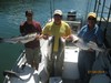 (07/04/2014) - Nice Striped Bass